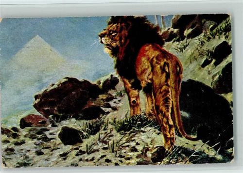 Auf der Lauer 1907 AK