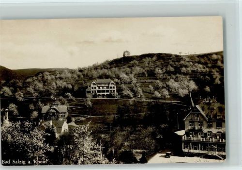 Bad Salzig Schöne Villen ca 1950 Foto AK