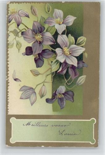 Blüten - Litho 1905 AK