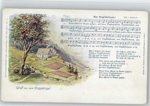 Dar Vuglbärbaam - Verlag Vogel Nr. 1 AK