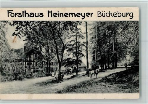 Bückeburg 1906 Forsthaus Heinemeyer , Reiter, Kutsche AK