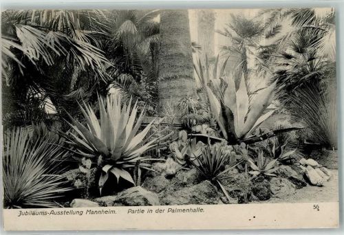 Mannheim 1907 Jubiläums-Ausstellung Internat. Kunst- und Große Gartenbau-Ausstellung 0 Palmenhalle