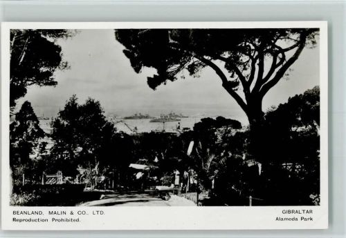 Alameda Park - Blick zum Hafen mit Kriegsschiffen