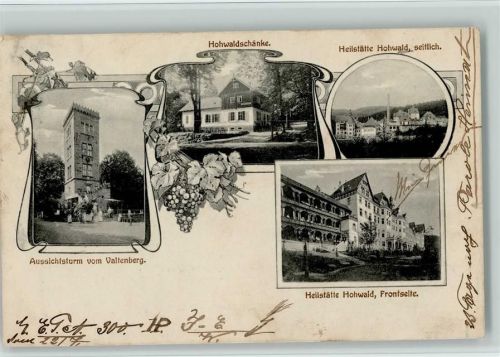 01844 O8351 Hohwald - Aussichtsturm vom Valtenberg Hohwaldschänke Heilstätte Hohwald Weintrauben