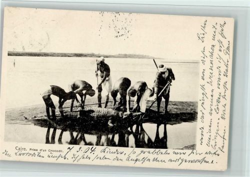 Caire - Prise un Crocodil 1904 AK