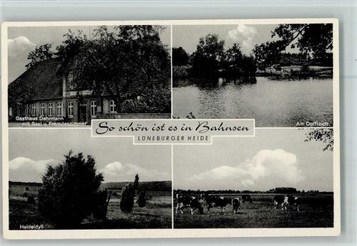 Bahnsen Gasthaus Dehrmann am Dorfteich Heideidyll Kühe Lüneburger Heide 4-Bildaufnahme