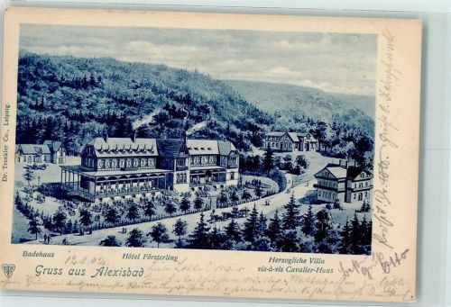 Alexisbad 1902 Herzogliche Villa vis-a-vis Cavalier-Haus Hotel Försterling Badehaus