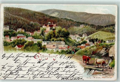 98716 O6303 Elgersburg 1899 Lithographie Kühe