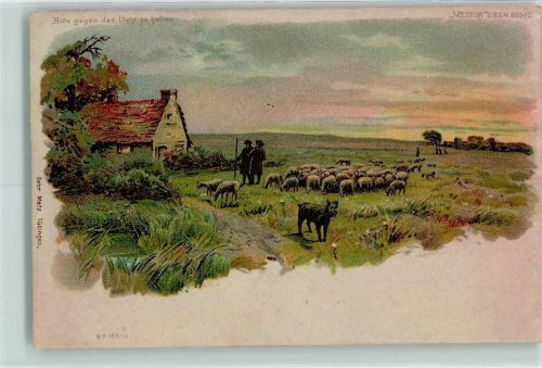 1899 Gebr. Metz 16515 Schafhirte AK