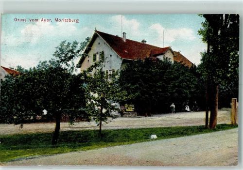 Moritzburg 1906 Auer