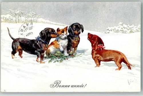 1909 BKW Serie 2670-2 - Dackel und Katzen, AK