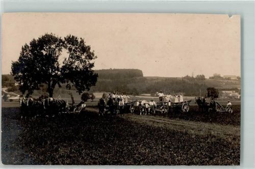 Arnstorf Pirvatfoto AK Ernte Ochsengespann Pferdewagen Sense Pflug