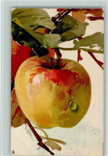 Äpfel- sign C. Klein - Tucks Serie Früchte Nr. 380 B