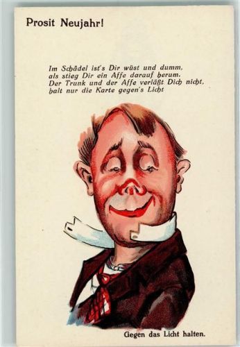 Verlag WS+SB Nr. 1046 Neujahr Humor Spruch AK