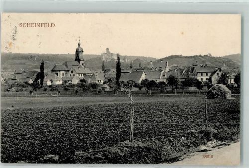 Scheinfeld 1913