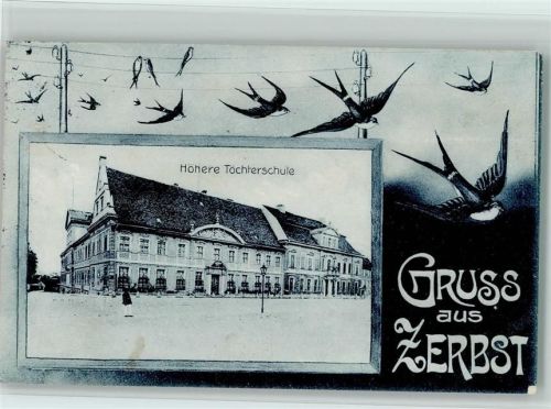 Zerbst 1913 Höhere Töchterschule Schwalben