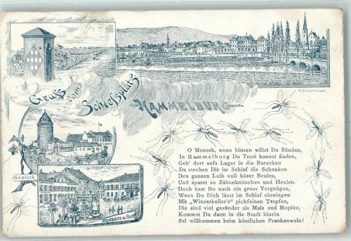Hammelburg 1910 Schiessplatz