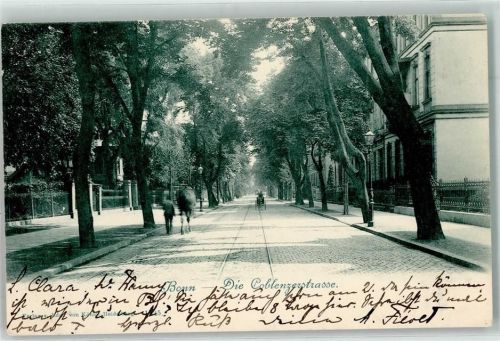Bonn 1900 Die Coblenzerstraße Allee Pferd