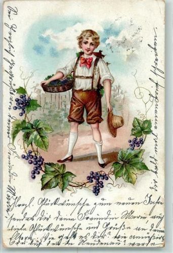1901 Weinlese Lithographie AK
