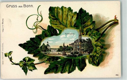 Bonn Kaiserplatz Efeu