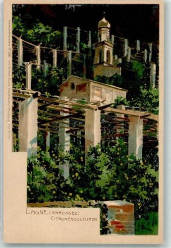 Limone sul Garda 1899 Künstlerkarte Nr.2683 Zitronenkulturen AK