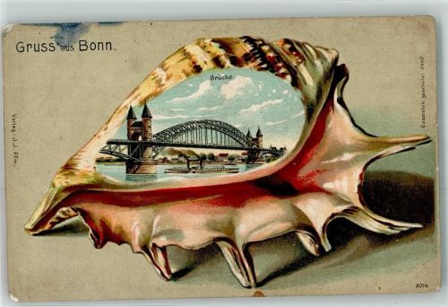 Bonn Brücke Seitenraddampfer