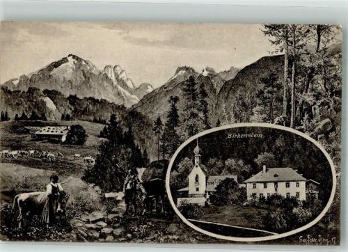 Birkenstein Eug. Felle Isny Tracht Kühe