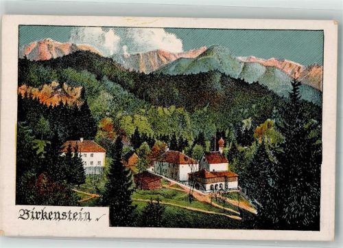 Birkenstein