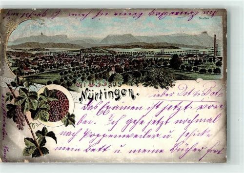 Nürtingen Weintrauben Neuffen Lithographie