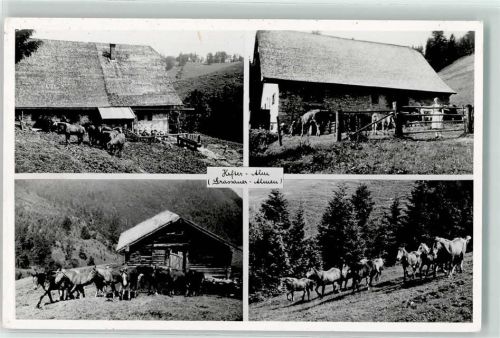 Grassau Hefter-Alm Pferdeweide Hüttenstempel