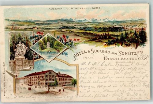 Donaueschingen 1897 Aussicht vom Schellenberg Donau-Quelle Hotel Soolbad Zum Schützen