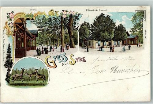 28857 W2808 Syke Lithographie H. Ritterhoffs Gasthaus Veranda Rehe