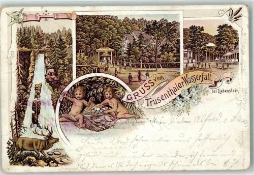 Trusetal 1907 Gruss vom Trusethaler Wasserfall Blumen Kinder Lithographie