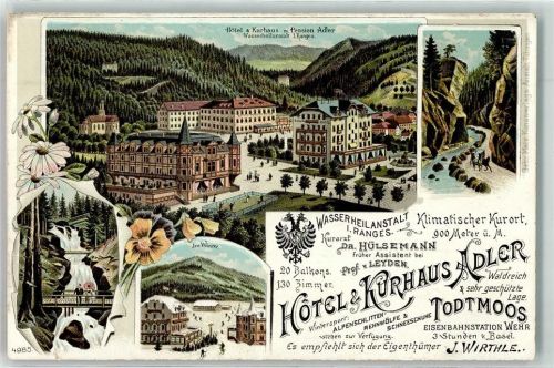 Todtmoos Hotel Kurhaus Pension Adler Wasserheilanstalt Brücke Winter Schnee Ski Kutsche Blumen Lithographie