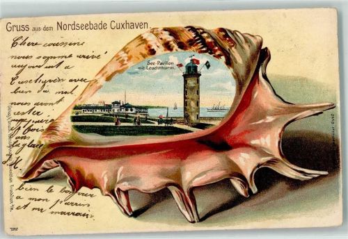 Cuxhaven 1903 Muschel See Pavillon Leuchtturm Schiff Gruss