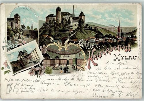 Mylau 1897 Gruss vom Kaiserschloss Zwinger Schlosshof Gastzimmer Kirche Blumen