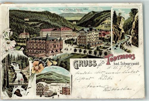 Todtmoos 1897 Hotel-Kurhaus Adler Wasserheilanstalt Wasserfall Im Winter Lithographie