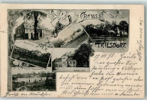 Triesdorf 1898 Baumplantage Gasthaus Zum Adler Kreisackerbauschule Schloss Falkenhaus