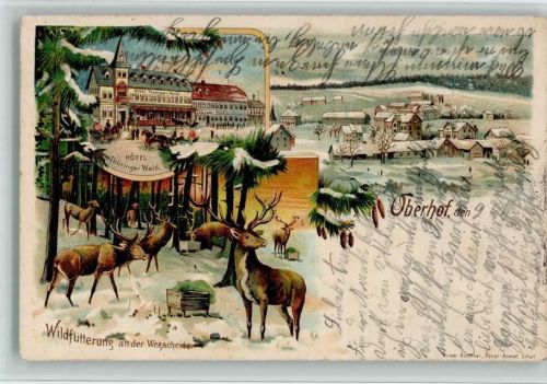 Oberhof 1898 Gruss aus - Hotel Thüringer Wald, Wildfütterung, Winter AK