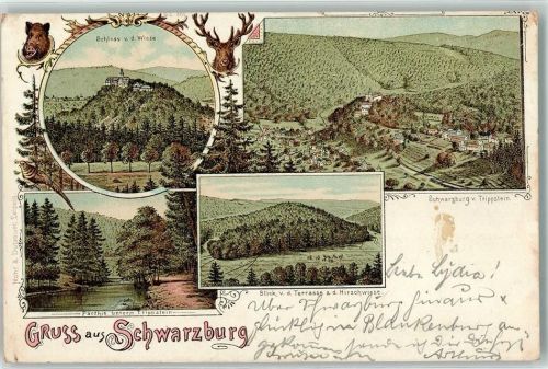 Schwarzburg 1899 Schloß v .d. Wiese Trippdtein Hirschwiese Wildscheinkopf