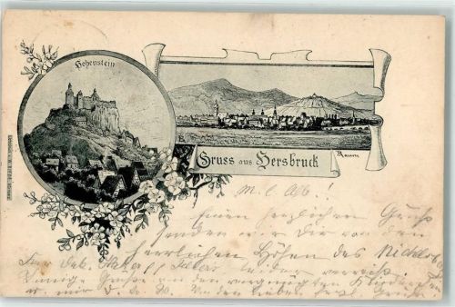 91217 W8562 Hersbruck 1897 Lithographie Hohenstein