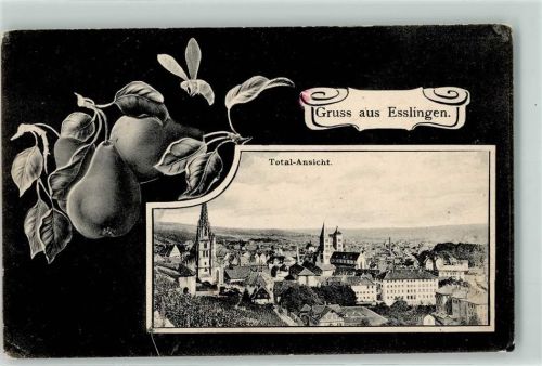 Esslingen Birnen Passepartout