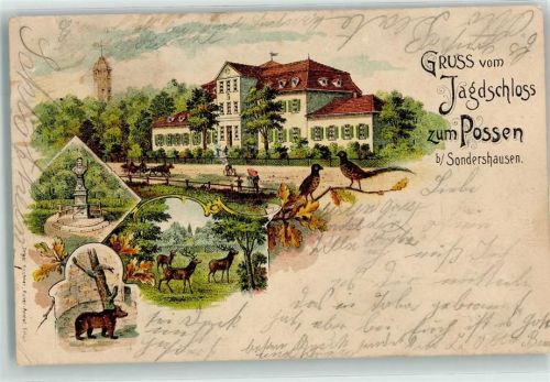 99706 O5400 Sondershausen , Thür 1902 Lithographie Jagdschloß zum Possen Pfau Bär Hirsche Denkmal