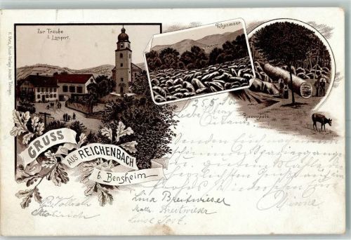Reichenbach 1896 Gasthaus Zur Traube I. Lampert Felsenmeer Riesensäule