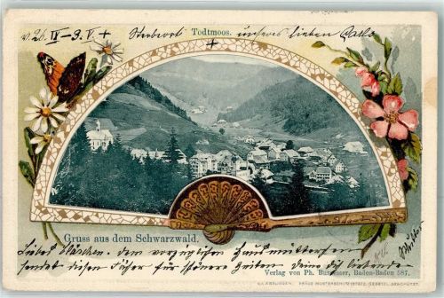 Todtmoos 1905 Fächer Schmetterling Schwarzwald Passepartout Lithographie
