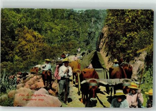 Paso de Angostura Ochsengespann