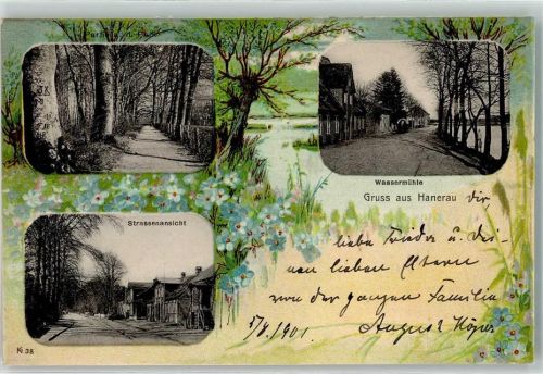 Hanerau-Hademarschen 1901 Baumallee Wassermühle