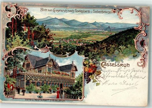 Bad Godesberg 1902 Hotel- Gasthaus Casselruh Weintrauben