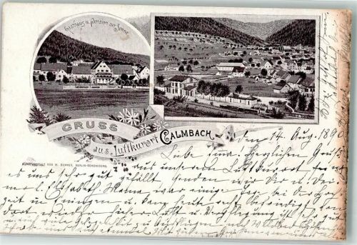 75323 W7547 Calmbach 1896 Lithographie Bahnhof Gasthaus-Pension zur Sonne