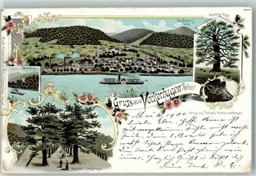 Veckerhagen 1900 Eberkopf Gasseler Landstraße Staufenberg Schweins-Eiche